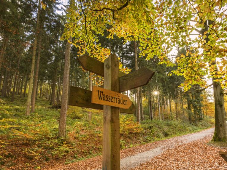 Wandern im herbstlichen Deister